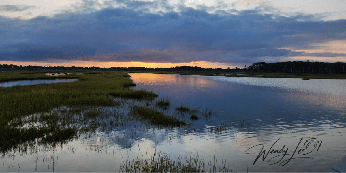 Capturing Nature’s Essence The Artistry and Experience of Wendy Lee Garcia’s Photography (2)