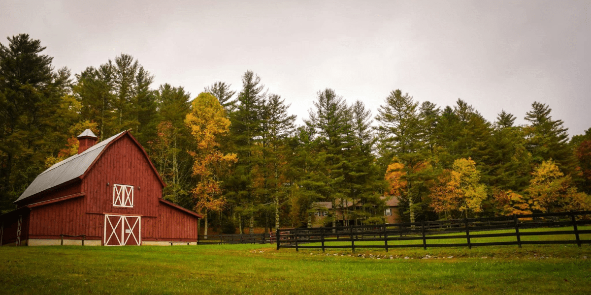 Ideal Small Holding Insurance- Protect Your Small Farm with the Right Coverage