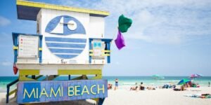 Art Basel Miami Beach 2025: Gen Z, New Collectors, and the Rise of Hybrid Art Culture