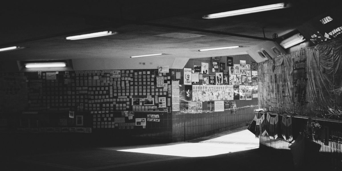 HelloPrint's Guide to Weather-Resistant Branding: Vinyl vs. Paper Stickers