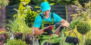 What Landscaping Businesses Need to Know About Seasonal Business Loans