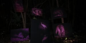 Kaiyuan Yang’s Infra-red photographic series ‘Lost in the Forest’ Captures Rare Nocturnal Images of Wildlife